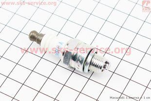 Фото товара &ndash; Свеча 2Т CMR6A - M10 L8 - пилы/косы