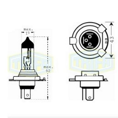 Фото товара – Лампа автомобильная Галогенная лампа для фары Trifa H4 12V 100/80 W gold