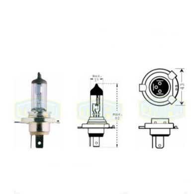 Фото товару – Лампа автомобільна Галогенна лампа для фари Trifa H4 12V 100/80W Season